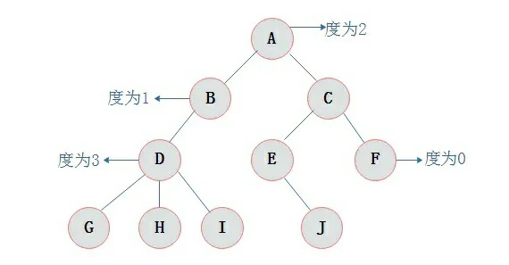 二叉树的遍历
